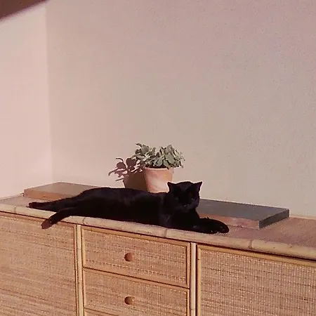 La Graziosa Dépendance Apartamento