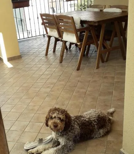 La Graziosa Dependance アパート *