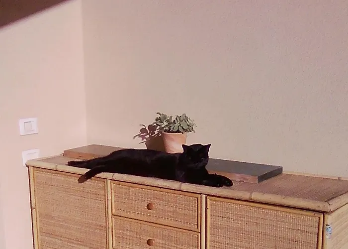 La Graziosa Dependance アパート